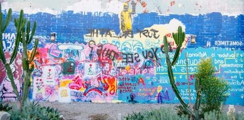 view of the pitzer free wall with cactus in the foreground